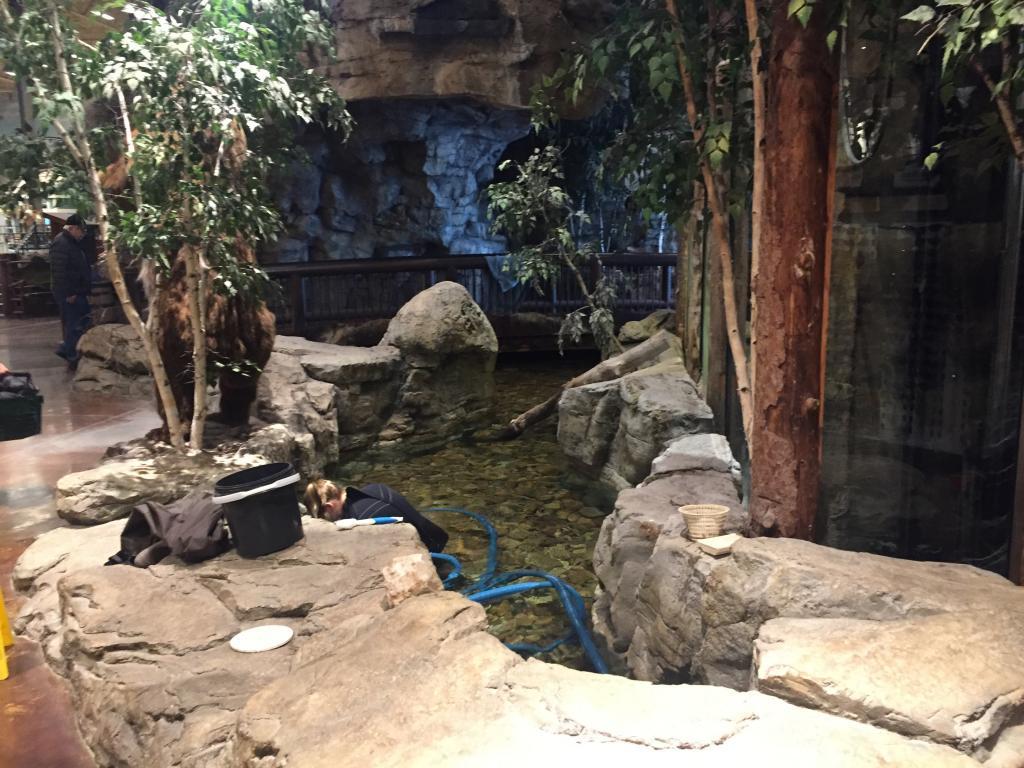 bass pro rocks
